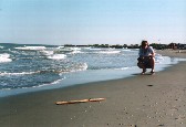Des plages isoles