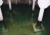 Mme sous l'eau, les mosaques sont belles