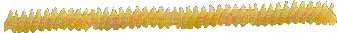 pastarule.gif (4337 octets)